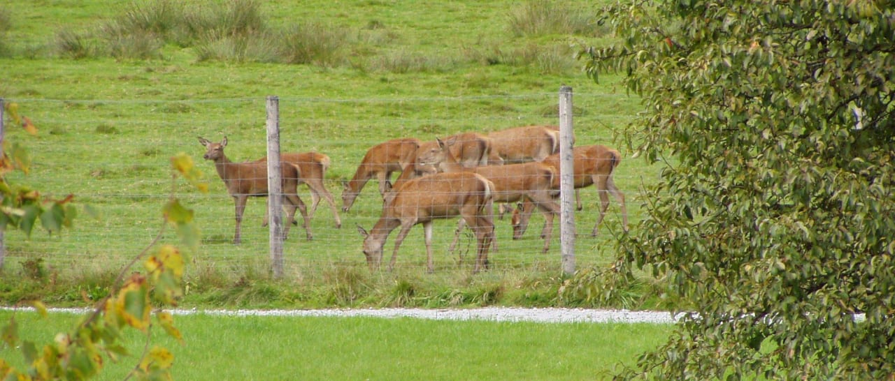 Goldene Oktobertage Wohlfühlhotel zur Post