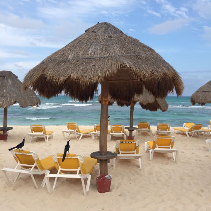 Strand Iberostar Waves Paraiso del Mar