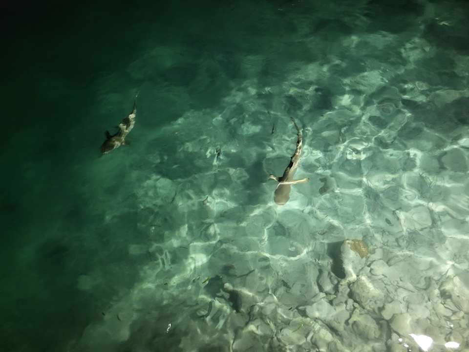 Sonstiges Adaaran Select Hudhuran Fushi - Premium All Inclusive