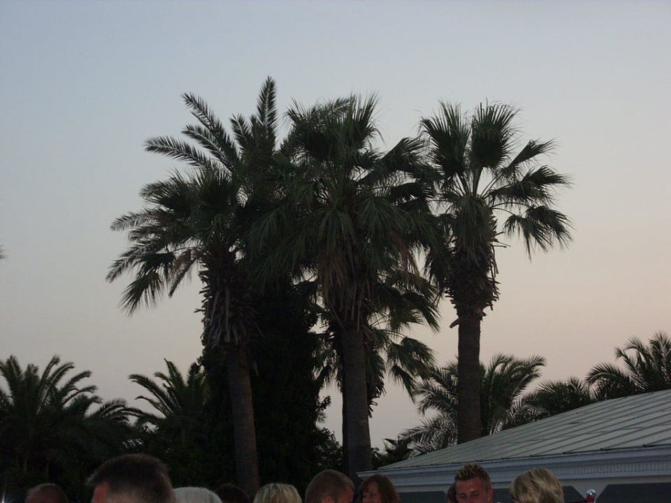 Palmen Seher Kumköy Star Resort & Spa