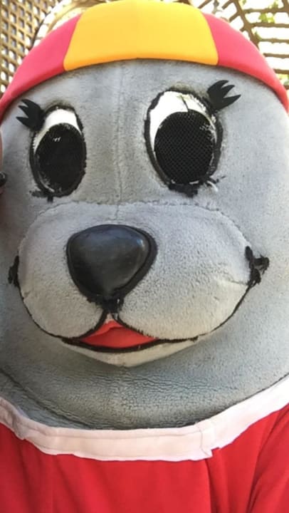 Robi ROBINSON SOMA BAY