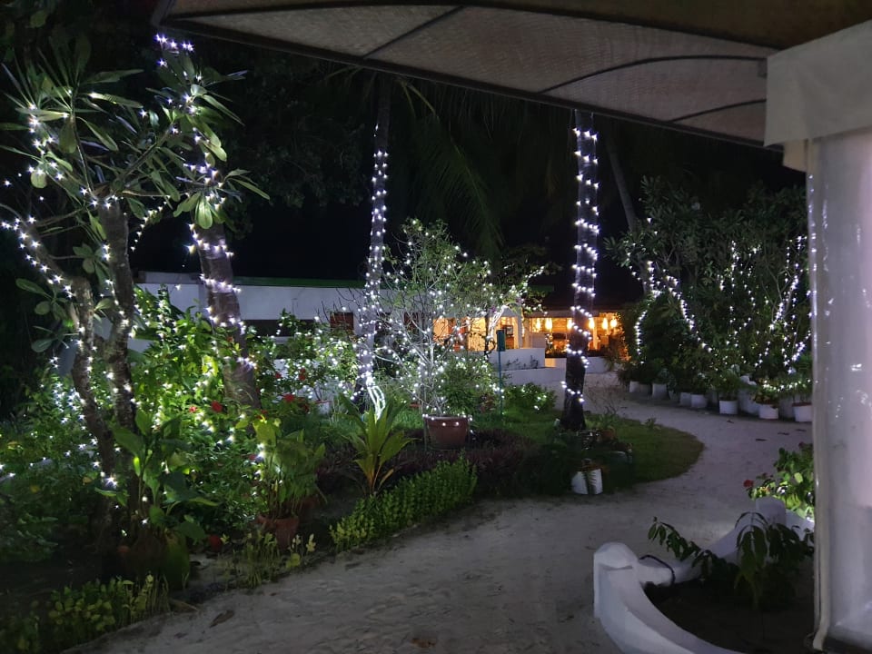 Gartenanlage Angaga Island Resort