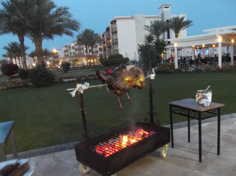 Lecker Lamm Pickalbatros Dana Beach Resort - Hurghada
