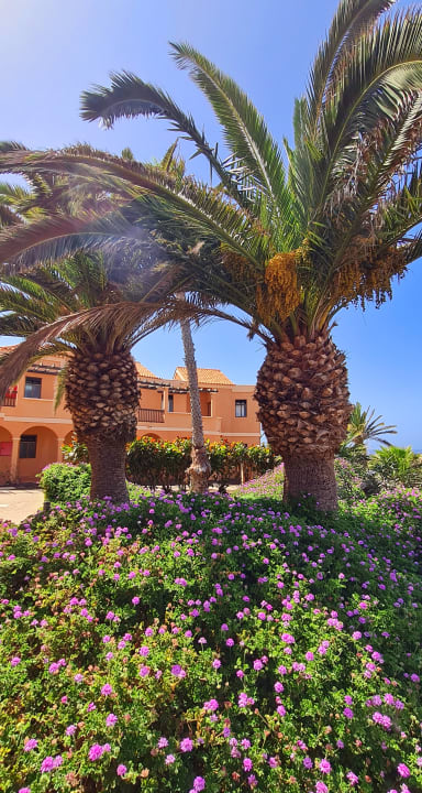Gartenanlage Bakour Fuerteventura La Pared