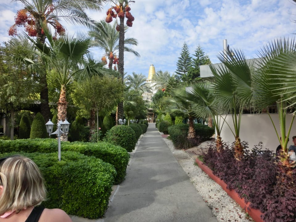 Weg zum Hotel Hotel Delphin Diva