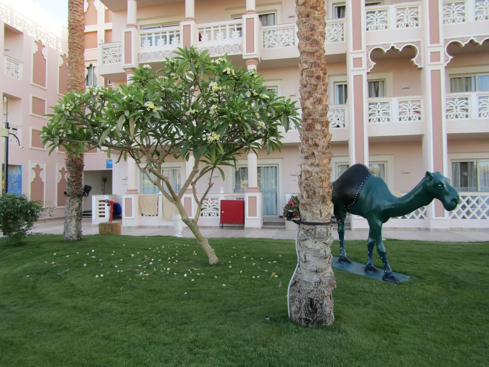 Gartenanlage Pickalbatros Palace Resort