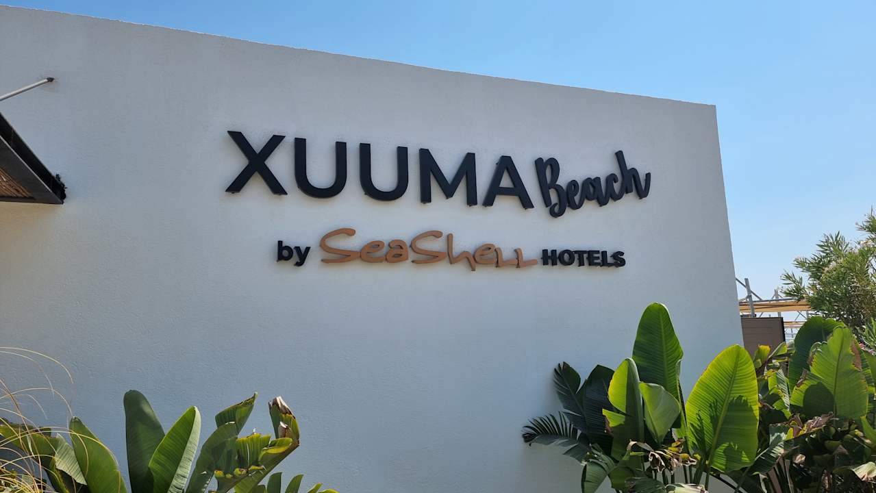 Strand Seashell Vega