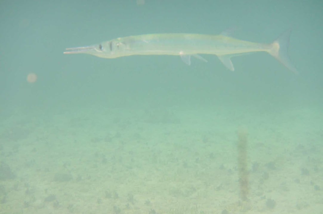 Sport & Freizeit Akumal Bay Beach & Wellness Resort