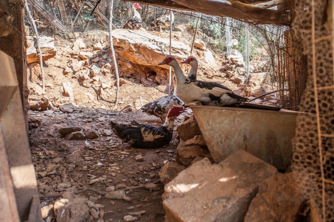 Außenansicht Stone Village Petrino Horio