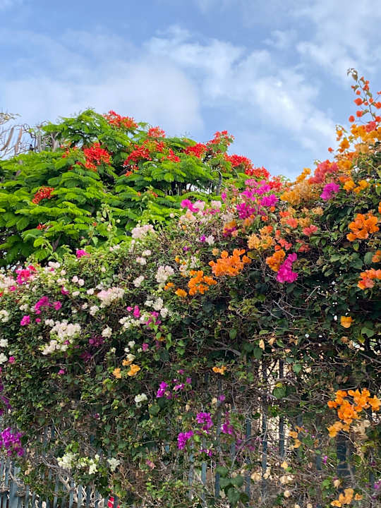 Außenansicht Suites & Villas by Dunas