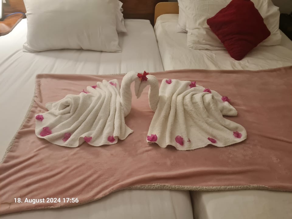 Zimmer Stella Garden Resort & Spa, Makadi Bay