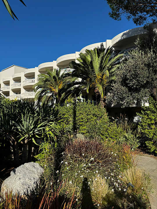 Gartenanlage Iberostar Selection Albufera Park