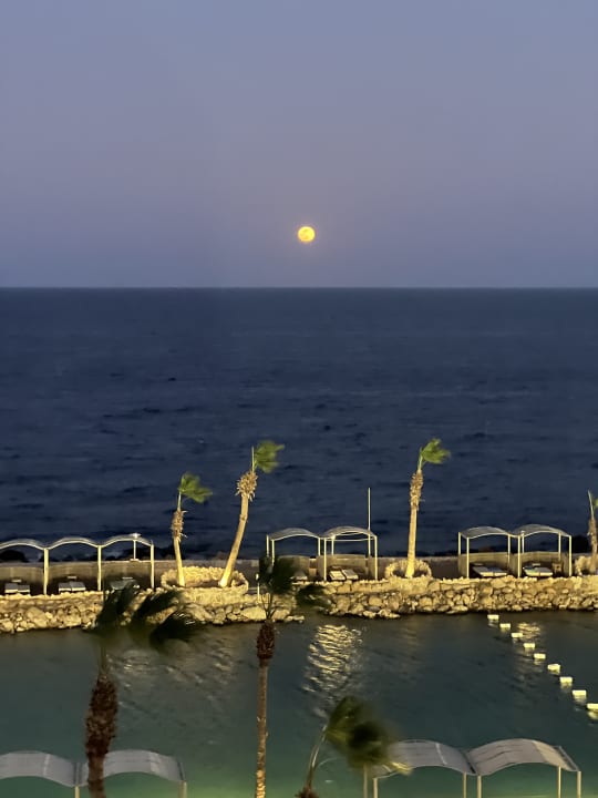 Ausblick Pickalbatros Citadel Resort