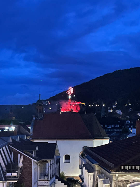 Ausblick PLAZA Premium Heidelberg