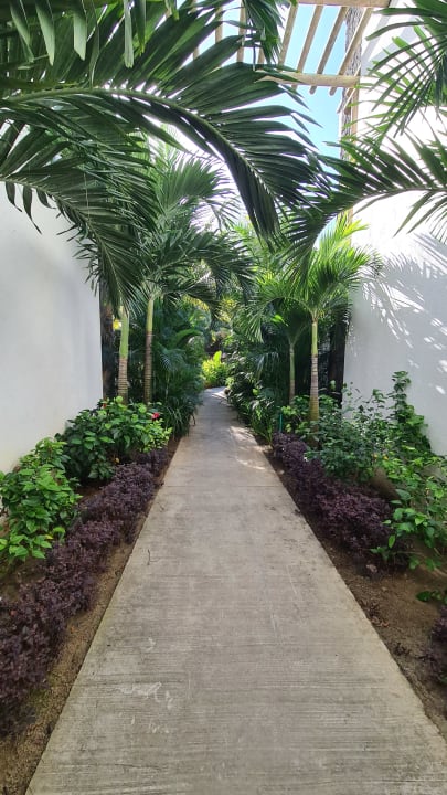 Gartenanlage Sunrise Attitude - Adults Only