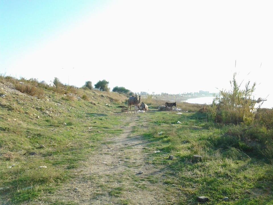 Strand Eftalia Aqua Resort