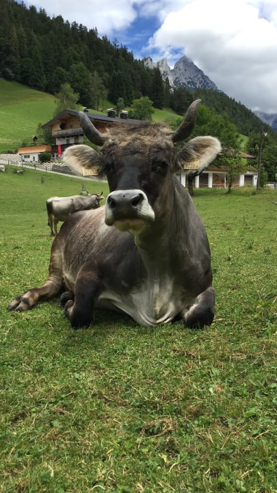Sonstiges Pension-Biobauernhof Hagenhof