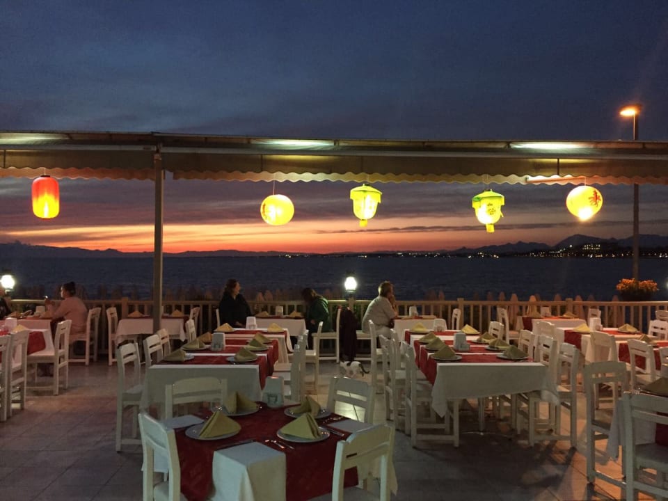 Bar Can Garden Beach