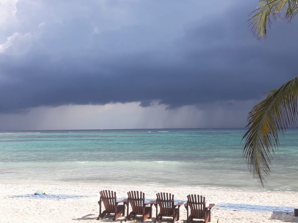 Ausblick Akumal Bay Beach & Wellness Resort