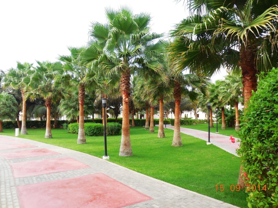 Viele Palmen im Garten Hotel Riu Karamboa