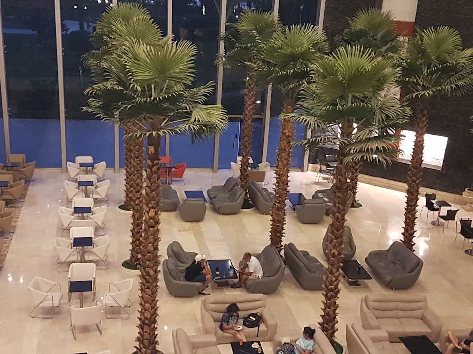 Lobby Serenity Alma Heights