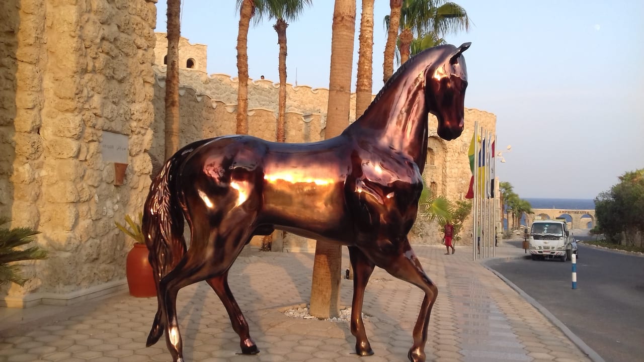 Sonstiges Pickalbatros Citadel Resort