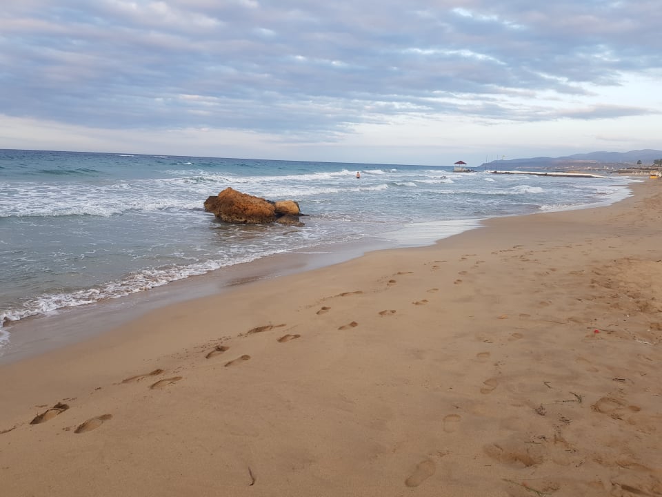 Strand Cactus Mare - Adults only