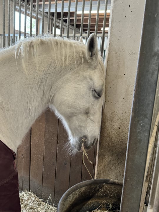 Sport & Freizeit Posthotel Achenkirch