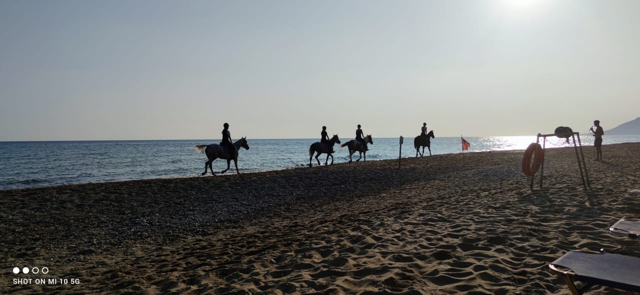 Strand HARPIN Happy Days Beach Hotel