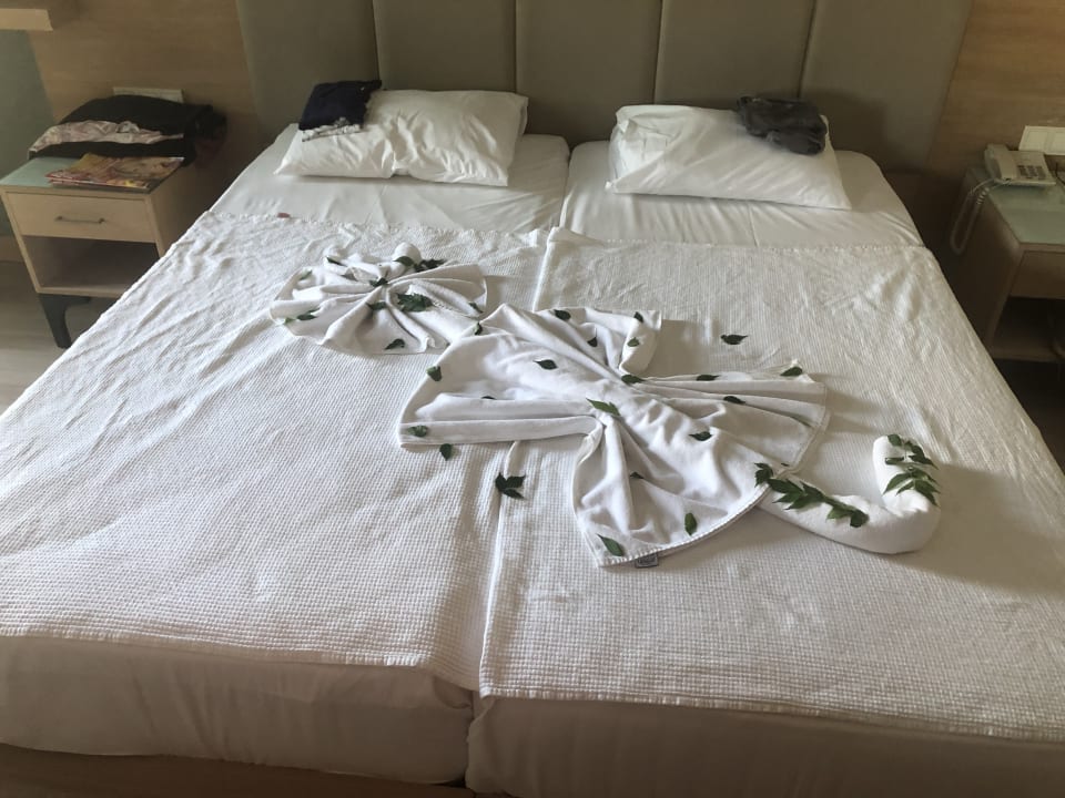 Zimmer Belek Beach Resort Hotel