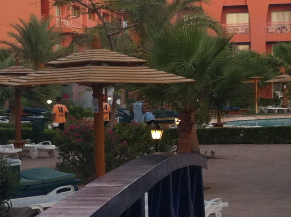 Insektenbekämpfung im Tagesbetrieb Titanic Beach Spa & Aqua Park
