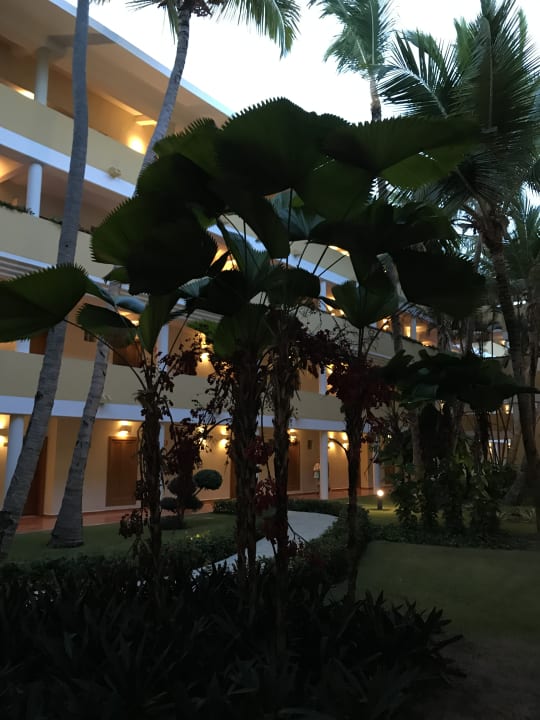 Gartenanlage Iberostar Waves Punta Cana