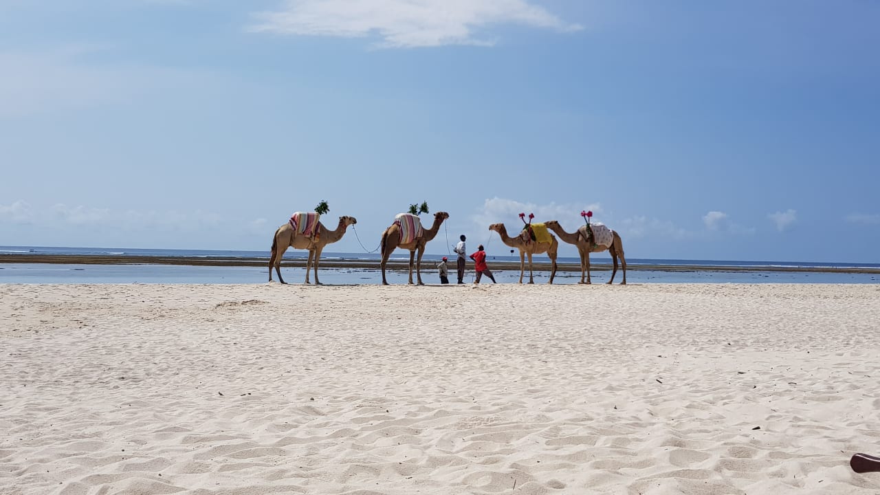 Strand Hotel Southern Palms Beach Resort