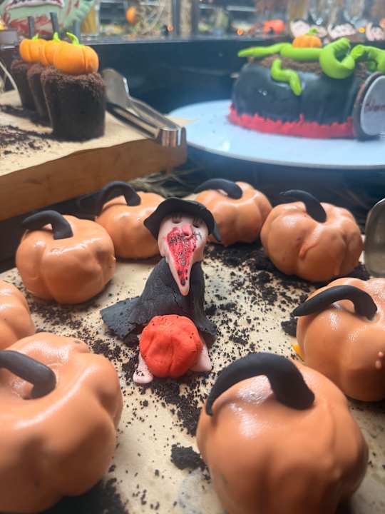 Gastro Seashell Vega