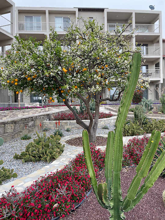 Gartenanlage Arum Barut Collection