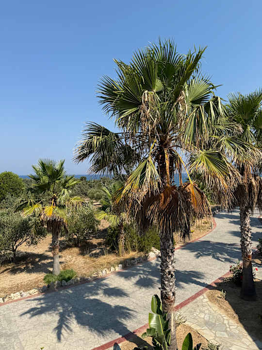 Ausblick Achilleas Beach Adults Only