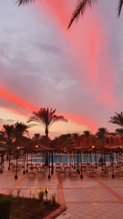 Pool Jaz Makadi Oasis Resort