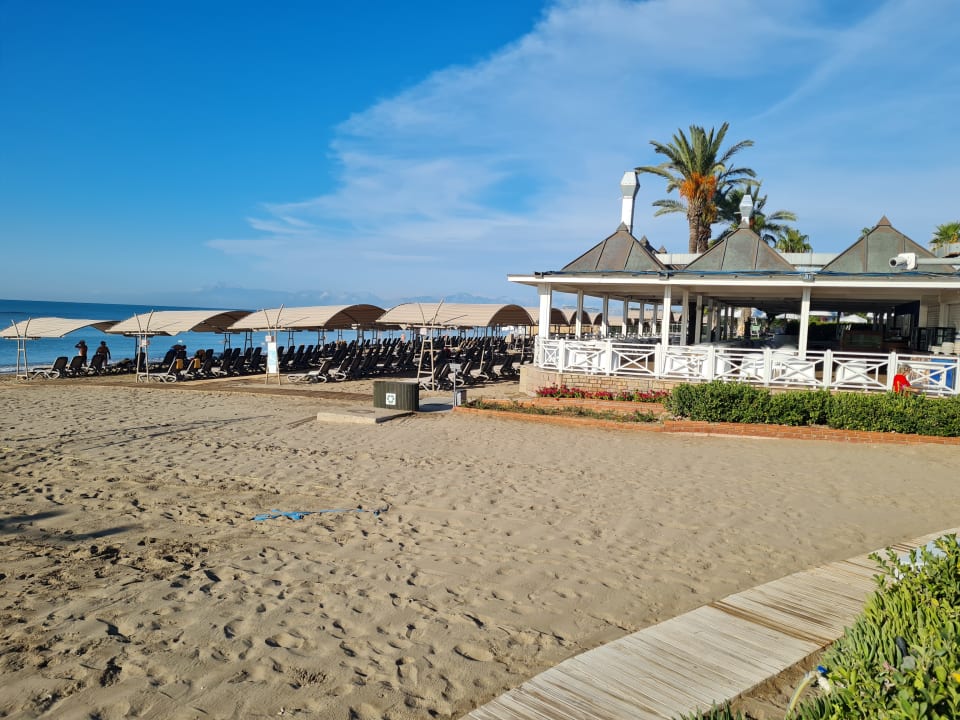 Strand Papillon Belvil