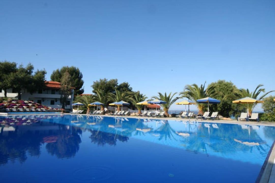 Pool Blue Dolphin Resort Hotel