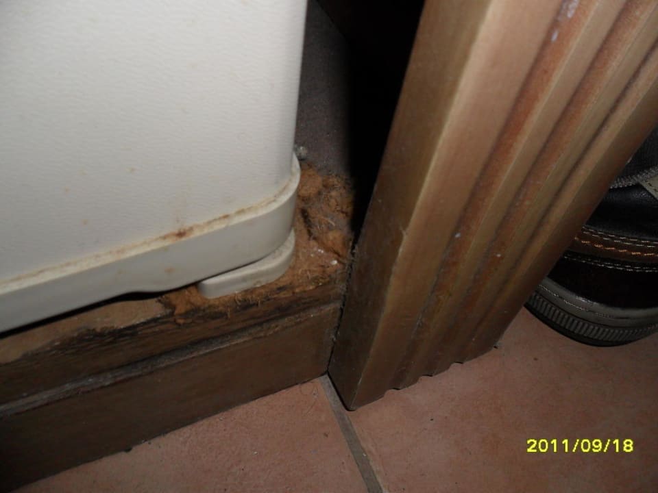 Kühlschrank  Club Turtas Beach Hotel