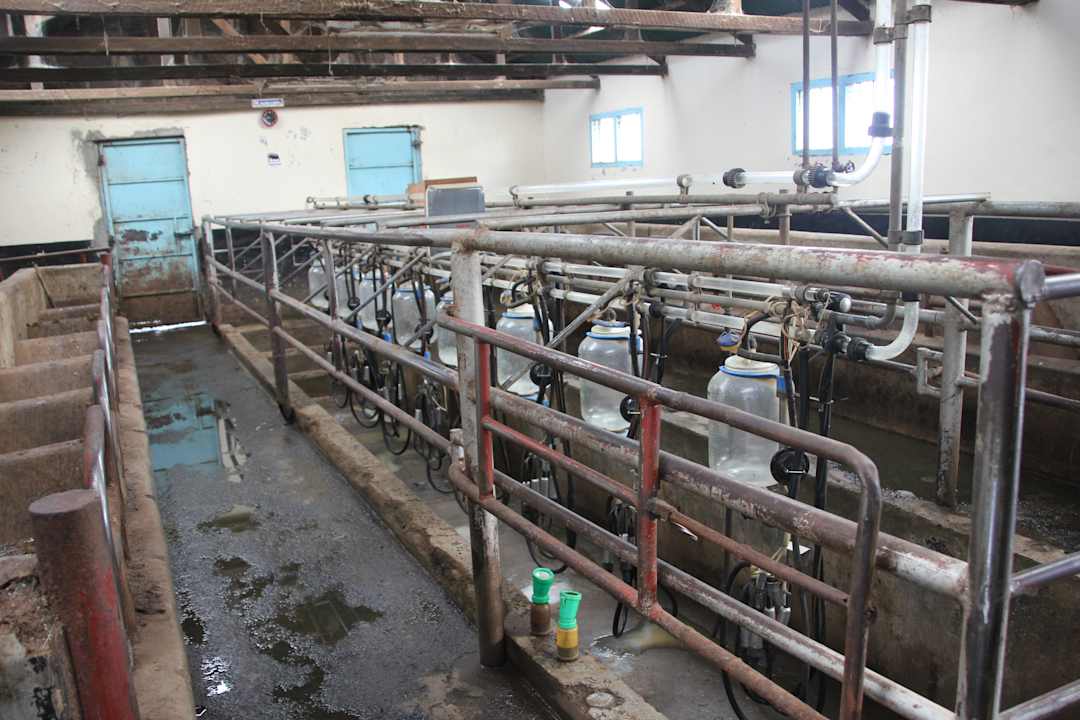 Sonstiges Kembu Cottages