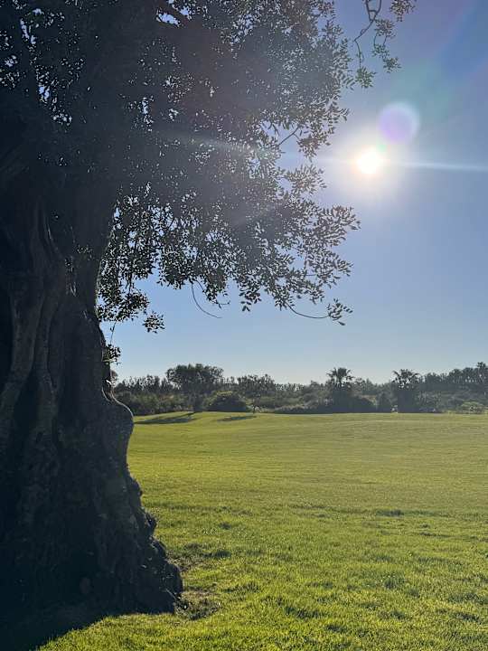 Gartenanlage ROBINSON QUINTA DA RIA