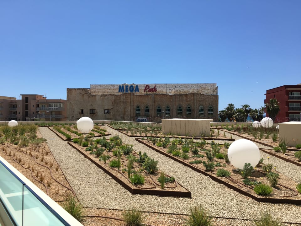 Ausblick Hipotels Gran Playa De Palma