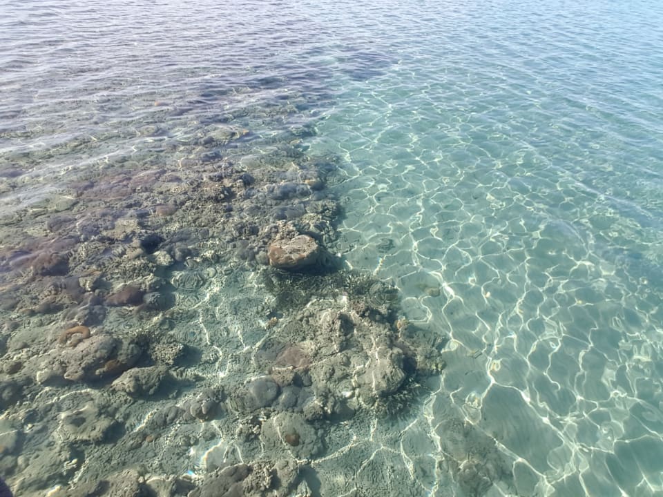 Strand Hotel Caves Beach Resort (Adults Only)