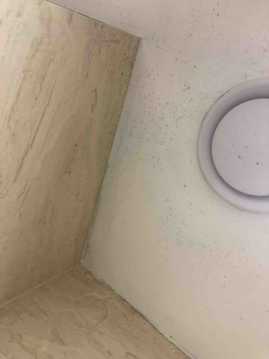 Zimmer V Hotel Lavender