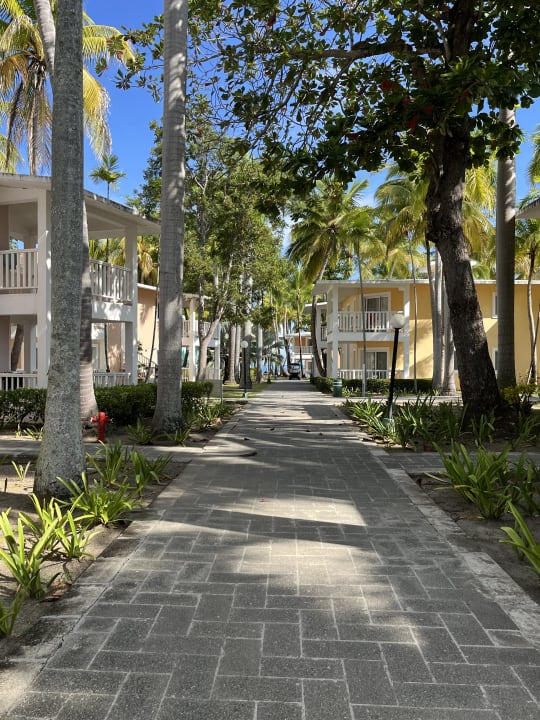 Außenansicht Playabachata Hotel