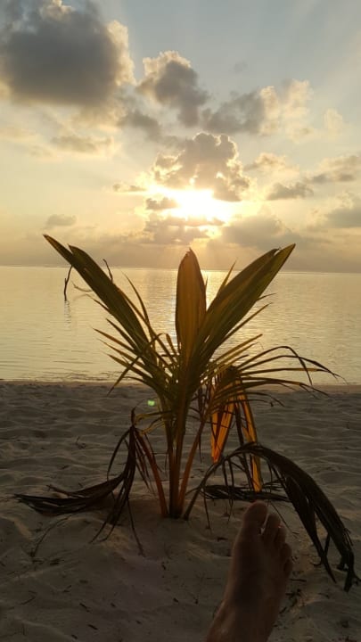 Strand Summer Island Maldives