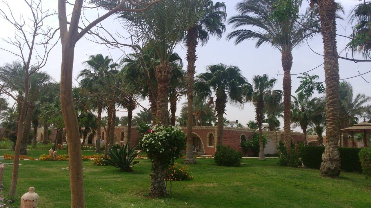 Gartenanlage Aladdin Beach Resort