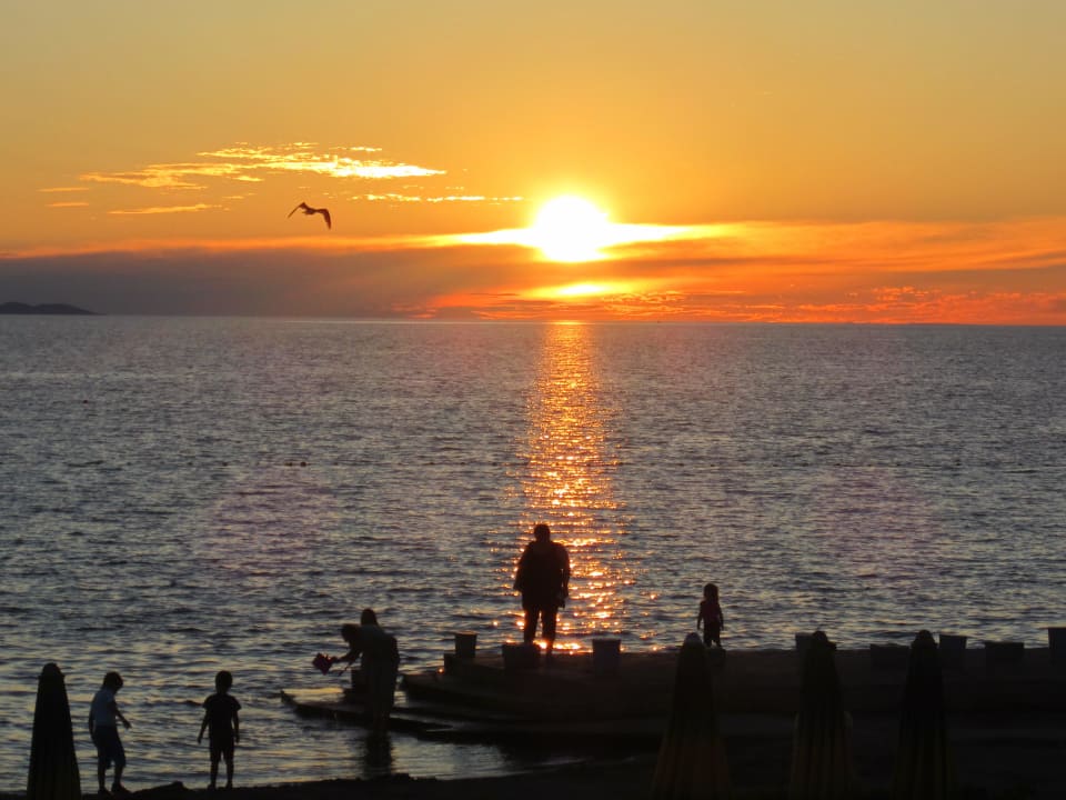 Abendstimmung Falkensteiner Club Funimation Borik