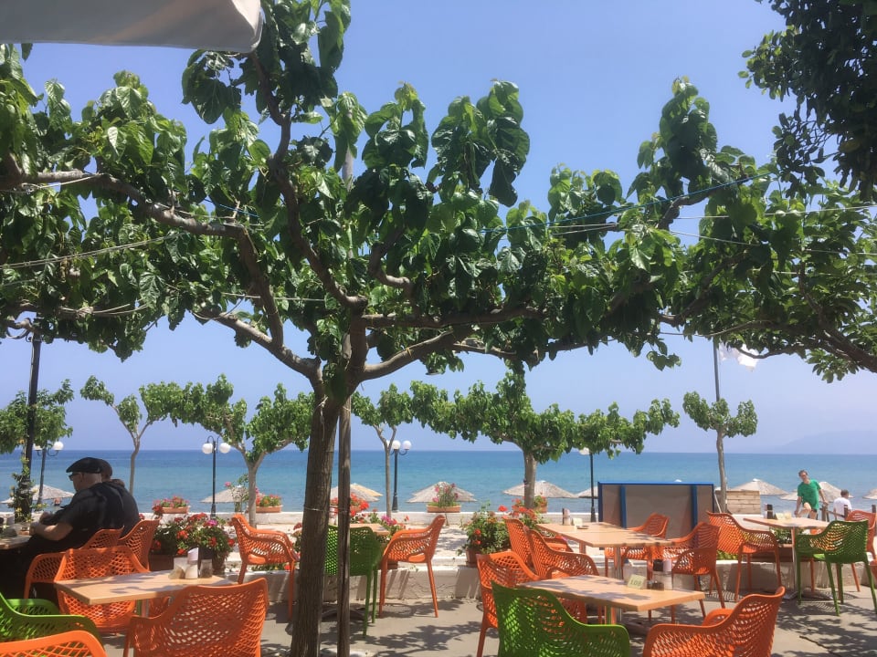 Gastro Harmony Boutique Resort